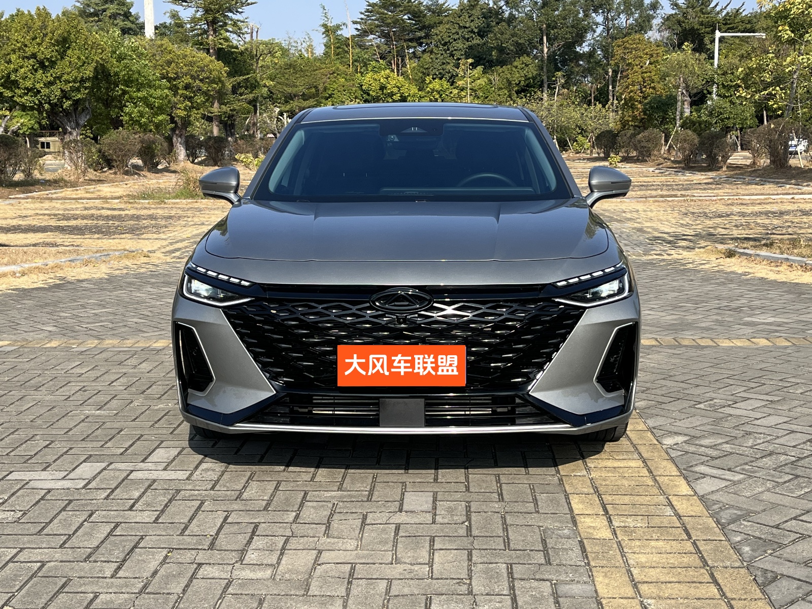艾瑞泽8