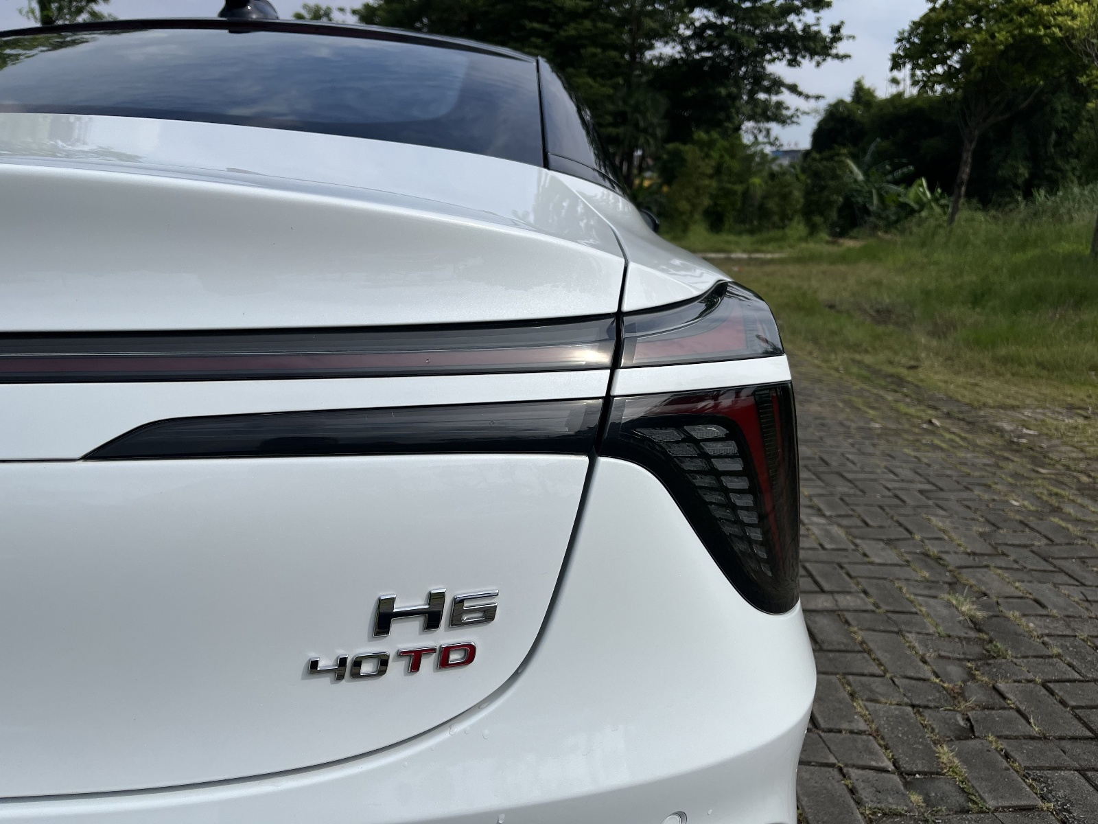 H6