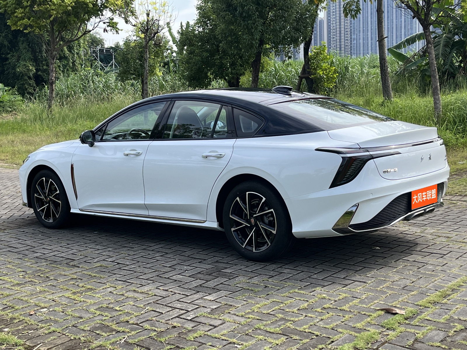 H6